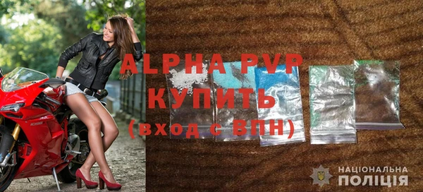 прущие грибы Покровск
