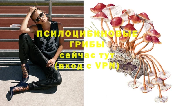 кристаллы Алексеевка