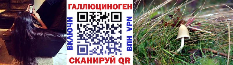 Галлюциногенные грибы мухоморы  darknet состав  Берёзовский  магазин продажи наркотиков 